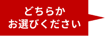 どちらかお選びください